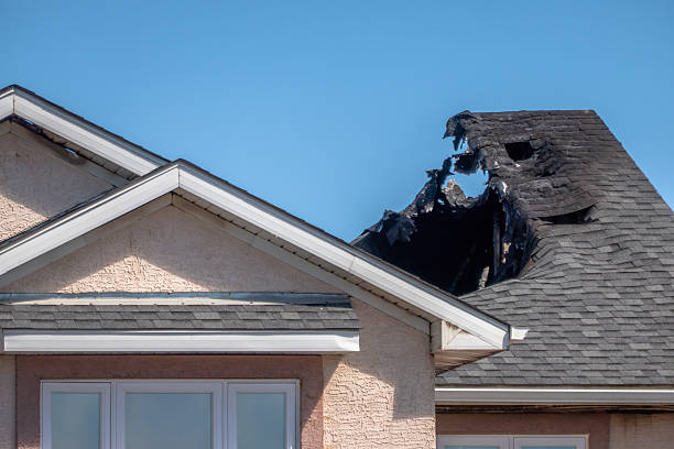 Top rated local Fire Damage Removal specialists in Tarpon Springs, FL